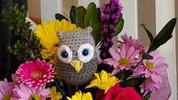 Owl My Love: A Whimsical Take on Unique Valentine’s Flowers