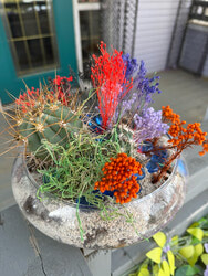 Discover the art of terrarium making in Edmonton and take home a unique, living masterpiece.